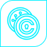 Custom E-commerce Platform Development
