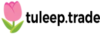 Client 68